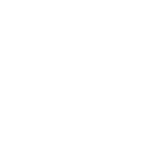 Chemsortia Logo